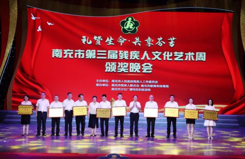 南充市第三屆殘疾人文化藝術周圓滿落幕 藝術展風采，教育咨詢助力夢想啟航